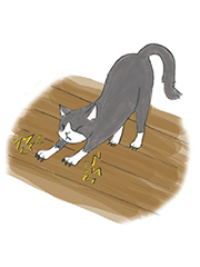 猫が床をひっかいているイラスト